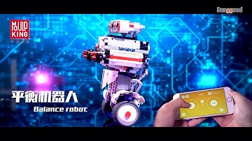 Mofun 2.4G DIY Programmable Self-Balance Block Building App Control Built-in Spenker Smart Robot Toy