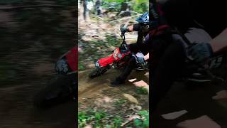 Backyard Rip #pitbike #honda #yamaha #fasterminis #moto #motovlog #bmx #sundayfunday #youtubeshorts