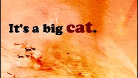 Identifying Arguments