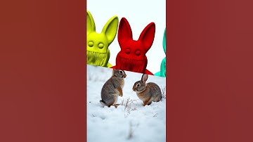 Zoonomaly vs Real Animals Part 2 #garrymods  #funnyvideo