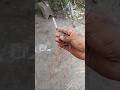 bijali bomb crackers and 2 lithium ion battery experiment