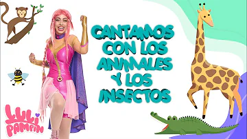 Lu Li Pampín - Cantamos con los animales y los insectos 🐥🦁🐒🦋🦘🐮🐷