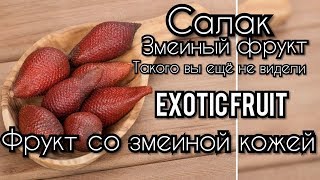 Салак. Змеиный фрукт со змеиной кожей! Такого вы ещё не видели. Как есть салак змеиный фрукт.