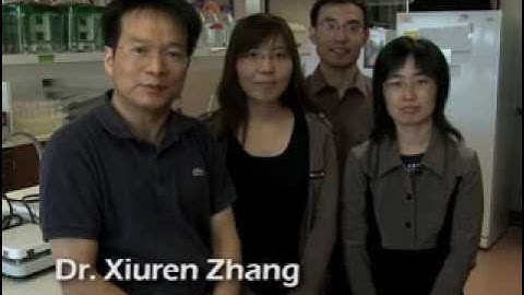 Argonaute Decoy Breaks the Silence