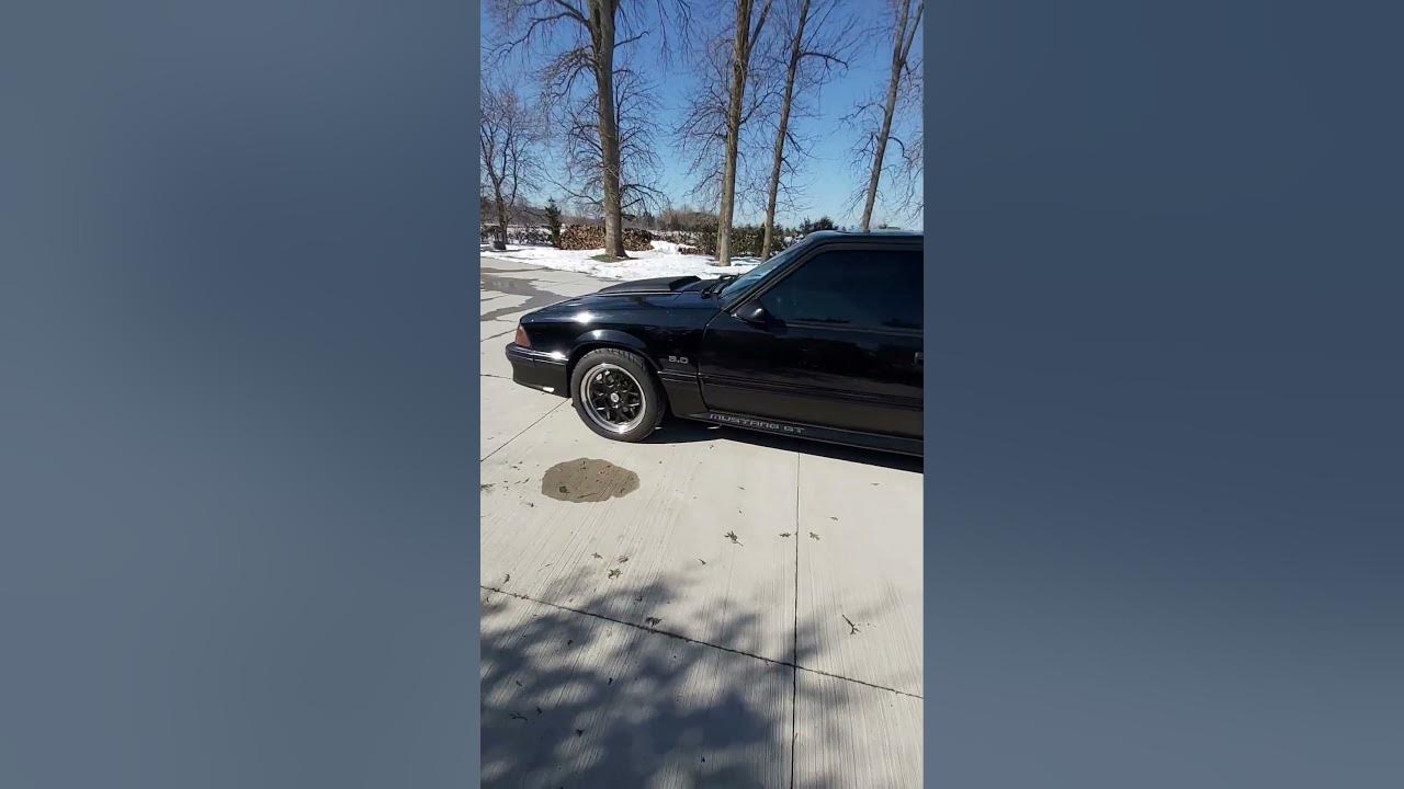 5.0 Fox Mustang E303 Cam Winter Cold Start 💨 🥶 YouTube