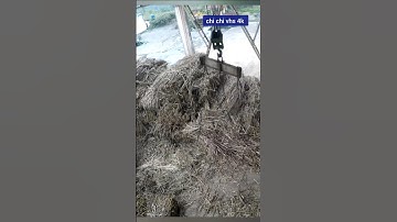 chi tiết kỹ năng lái cẩu trong khu công nghiệp