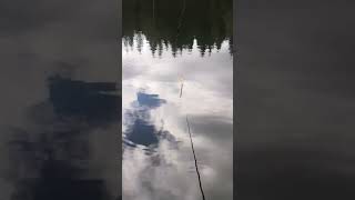 Pecanje Na Plovak Najlepsi Osecaj D