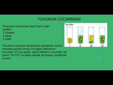 Toxumun quruluşu,cücərməsi və yayılması.