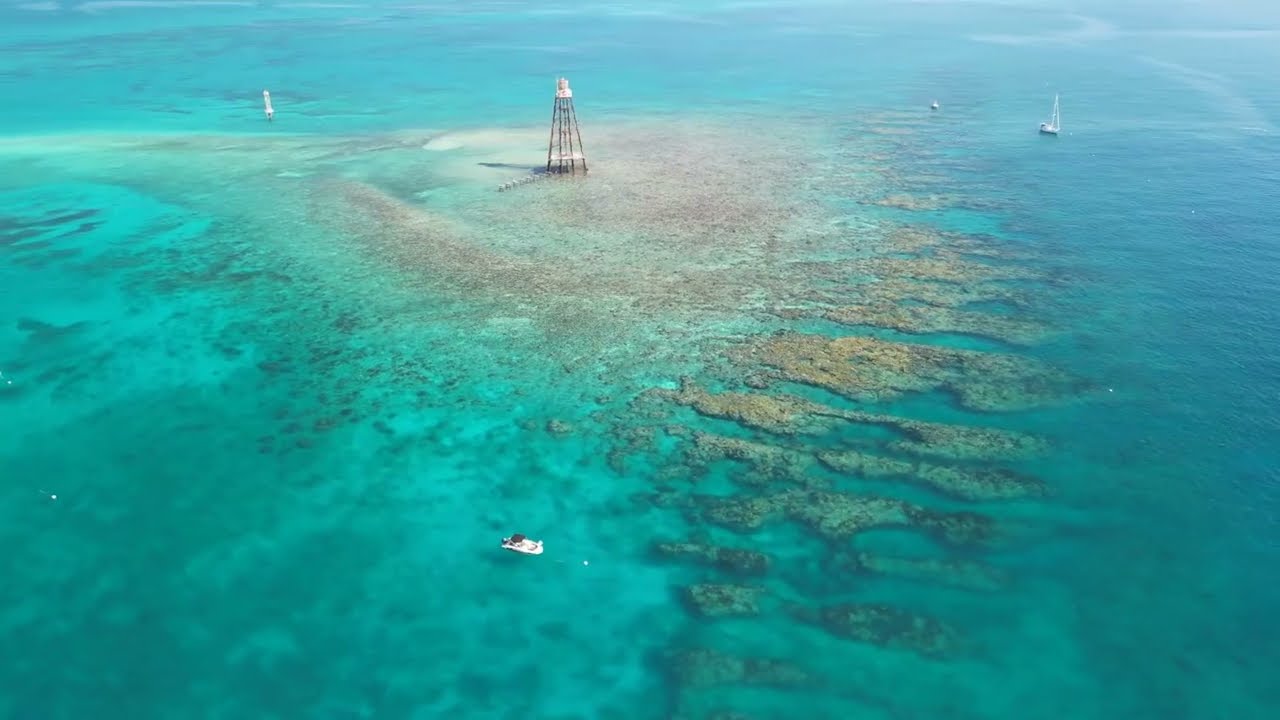 Sun, Sea, and Freedom: Your Key West Boat Rental Adventure Starts Here!