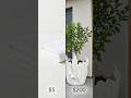 How I Made a $200 Designer Planter for Under $5 🍋 #shorts