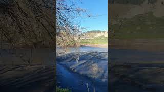 RIO MANZANARES SE ESTA COMIENDO LAS ORILLAS Y CAMINOS