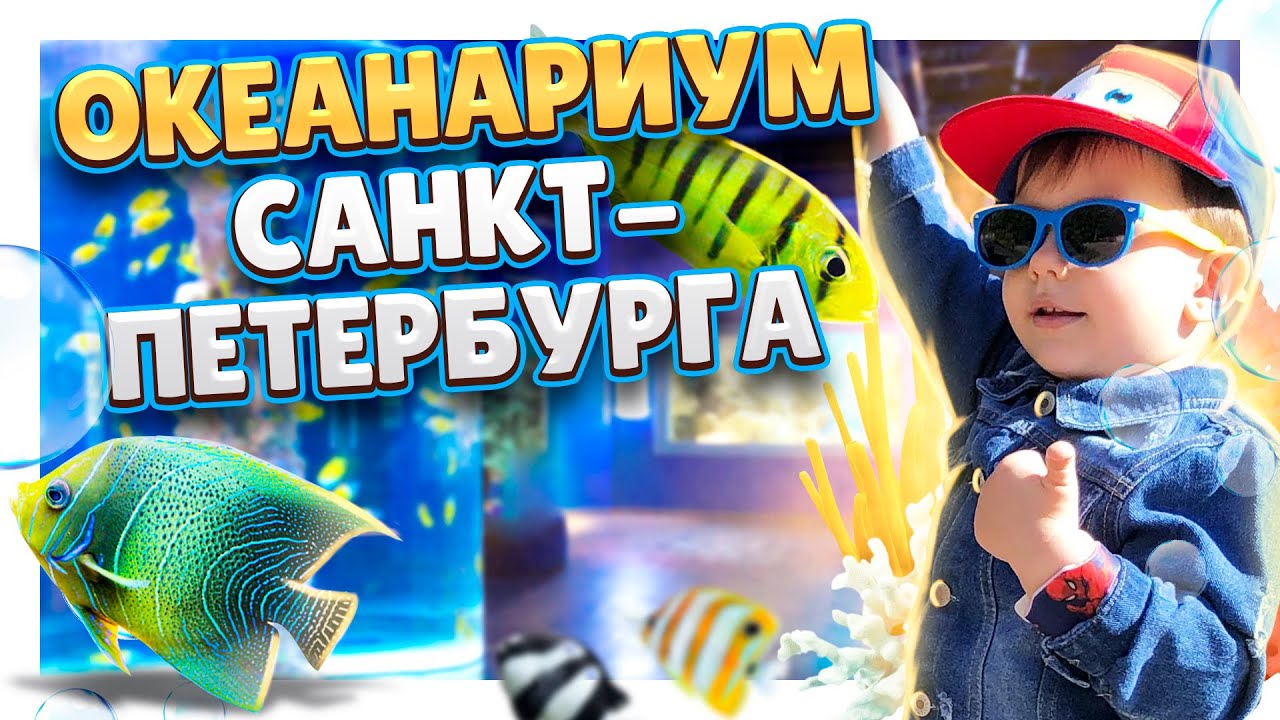 Санкт-Петербург ! Океанариум в ТРК 