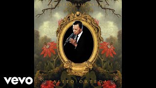 Video thumbnail of "Palito Ortega - La Dama Es una Trampa (Official Audio)"