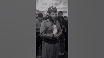 شيخ رعد محمد الكردي اجمل حالات واتس اب دينية سورة القصص وابتغ فيما ءاتٰك الله...🌿🖤