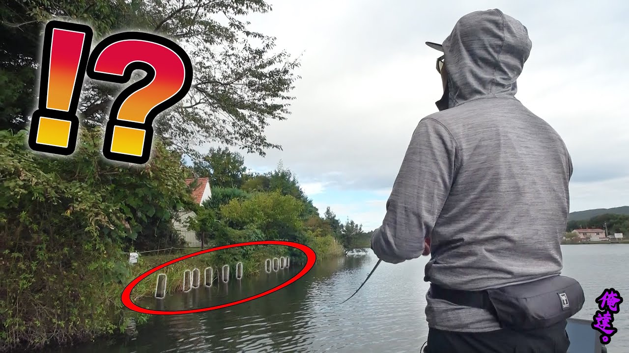 「ぬし」が潜んでいそうな岸際のギリギリにルアーを投げると…