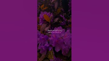 سورة الاحزاب❤️#قرآن #القرآن_الكريم #القران_الكريم #سورة_الأحزاب