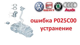 VAG усунення помилки P025C00