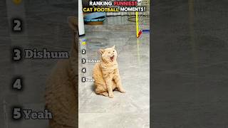 Ranking Funniest Cat Football Moments! 🐱⚽ #shorts
