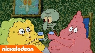 SpongeBob | Burenliefde | Nickelodeon Nederlands