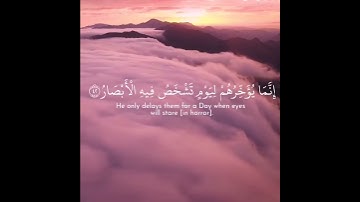 سورة إبراهيم _ وَلَا تَحْسَبَنَّ اللَّهَ غَافِلًا عَمَّا يَعْمَلُ الظَّالِمُونَ ۚ