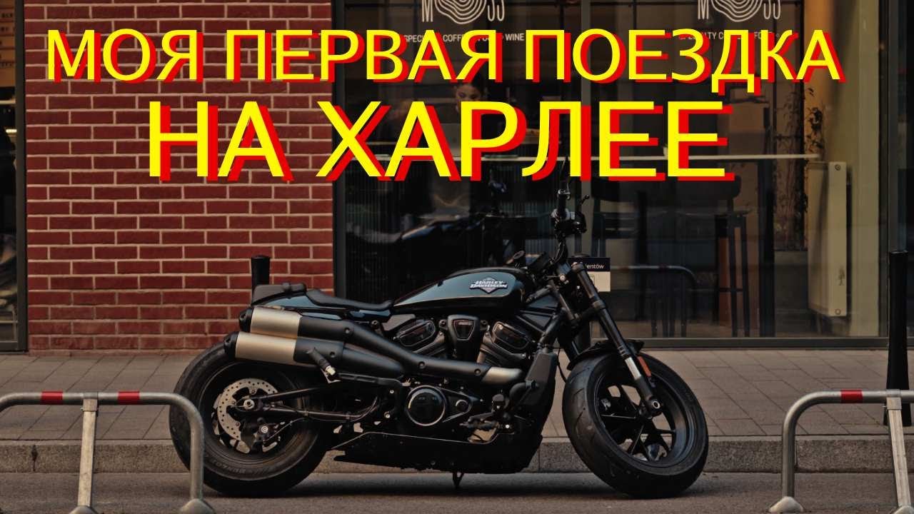 Стоит ли брать самый дешевый ХАРЛЕЙ?