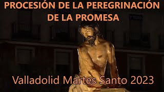 PROCESIÓN MARTES SANTO VALLADOLID 2023 Hermandad Penitencial  Nuestro Padre Jesús Atado a la Columna