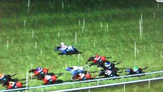 horse racing manager 2 flat race screenshot 5