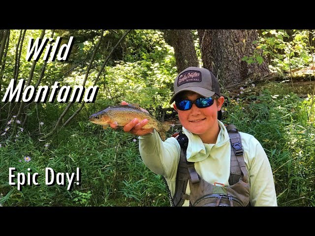 WBD - Fly Fishing Small Stream Wild Montana Dry Flies & Hoppers an Epic  Day! 