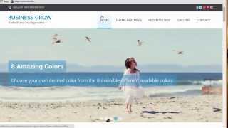 Business Grow WordPress Theme - Preview