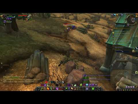 The BFA experience