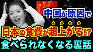 中国経済や異常気象で、日本の食費が超上がる【日本の食料自給率は大嘘】マヨネーズ値上げとリーマンショックと食糧危機の関係