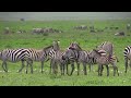 Día Internacional de la Biodiversidad 2024