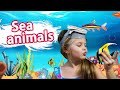 Sea animals! Educational video for kids with Dina
