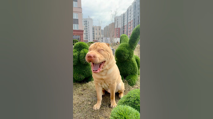 Little Pretty Baby? Да это же Геральт! ❤️🎵