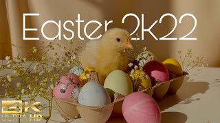 Easter 2k22 4k (Ultra HD)⎜Relaxing Music⎢Tradition, Eggs, Bunny, Chick, Basket, Rabbit, Chocolate 4k by Mother Earth Nostalgia - 4k and higher 52 views 2 years ago 10 minutes, 41 seconds