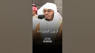 #ياسر_الدوسري #سورة_النمل #قرآن  @yasser._.d01