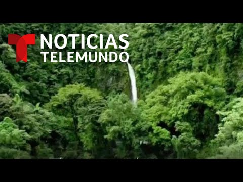 Vídeo: Costa Rica Será El Primer País Neutral En Carbono