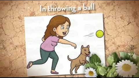 Quadratic Equations in Real Life