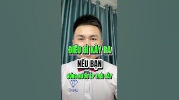 ĐIỀU GÌ XẢY RA NẾU BẠN UỐNG NƯỚC ÉP TRÁI CÂY THƯỜNG XUYÊN | GIẢI PHÁP SỐNG KHOẺ #giammo #giamcan