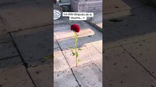 Un recordatorio de un lugar curioso…