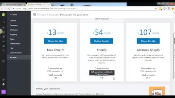 Shopify Video Tutorials - How to Disable Password Protected Page - Alden