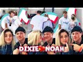 Dixie D'Amelio and Noah Beck Compilation Part 3