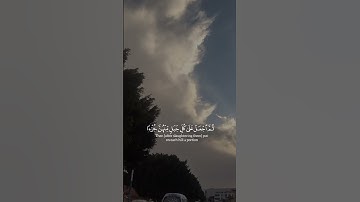 تلاوة خاشعة ومؤثرة جدا بصوت @هارون.الوليد-ق2ة #reels #المصحف #قرآن #اكسبلور #trending