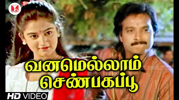 வனமெல்லாம் செண்பகப்பூ|Nadodi Pattukkaran| Super Hit Karthik Mohini Tamil Songs|Hornpipe Record Label