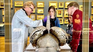 Silver Swan Study Week: Zoom Expert panel discussion