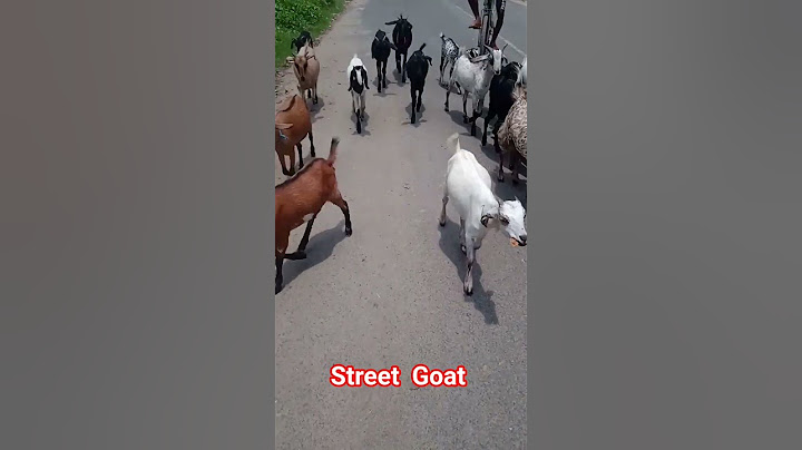 #goat #animals #pets #street #shorts #viral #public #please#subscribe #like #share