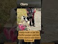 ❤️ Heute ist Reisetag bei Tiere in Spanien ❤️ Cloro ❤️