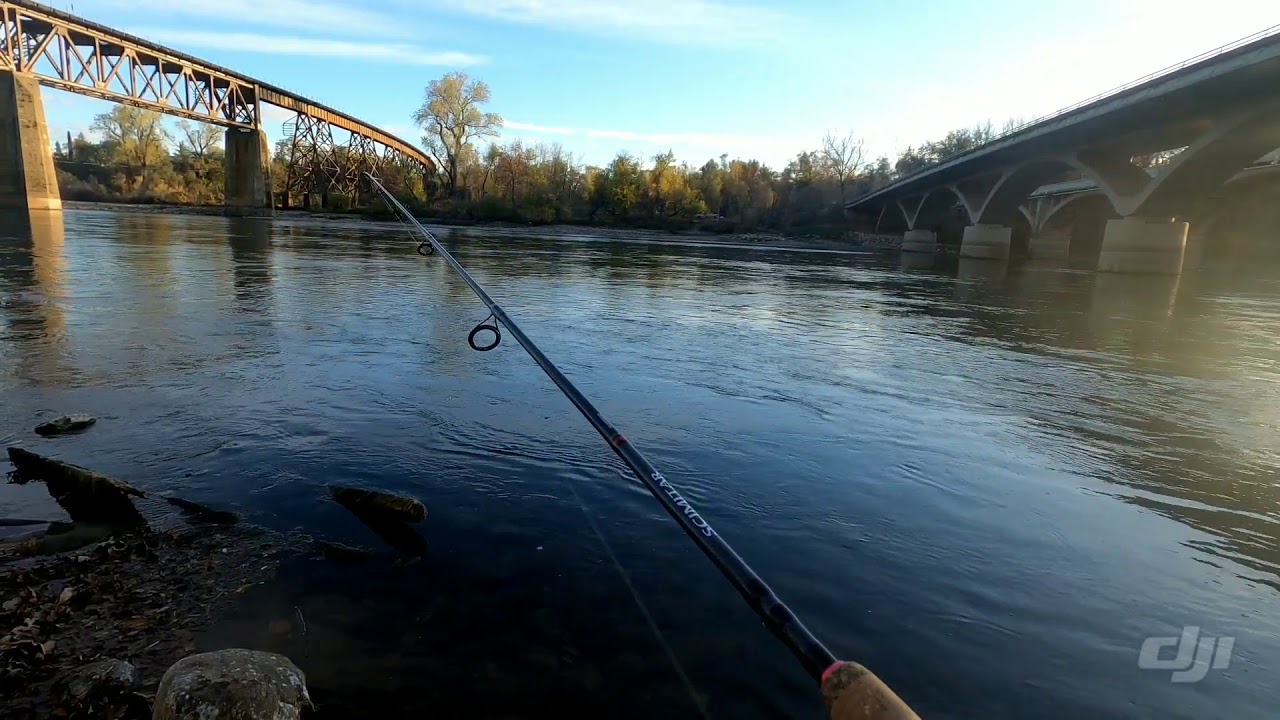 Fishing sacramento river ca vlog 2 - YouTube