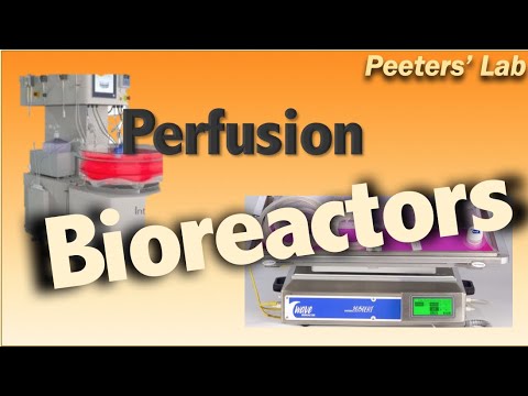 Perfusion Bioreactors: Continuous Cell Culture and High Cell Density