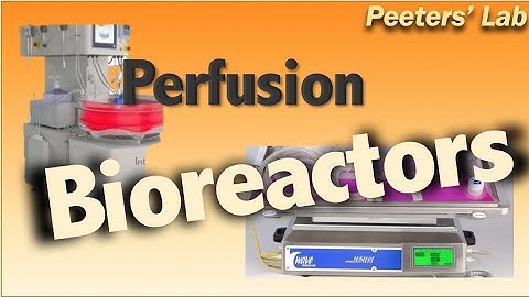 Perfusion bioreactors